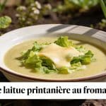 Soupe de laitue printanière au fromage fondu : la recette inattendue qui transforme les premières feuilles du jardin
