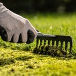 Ce geste de pelouse du 1er avril, conseillé par un pro, supprime la mousse et métamorphose votre gazon