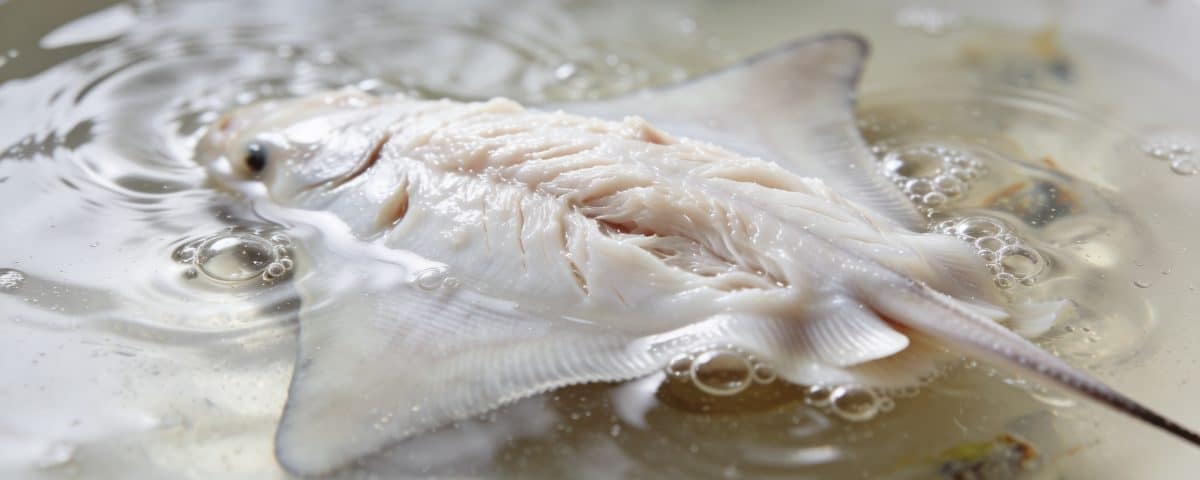Filet de raie blanc immergé dans bouillon frémissant.