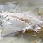 Filet de raie blanc immergé dans bouillon frémissant.