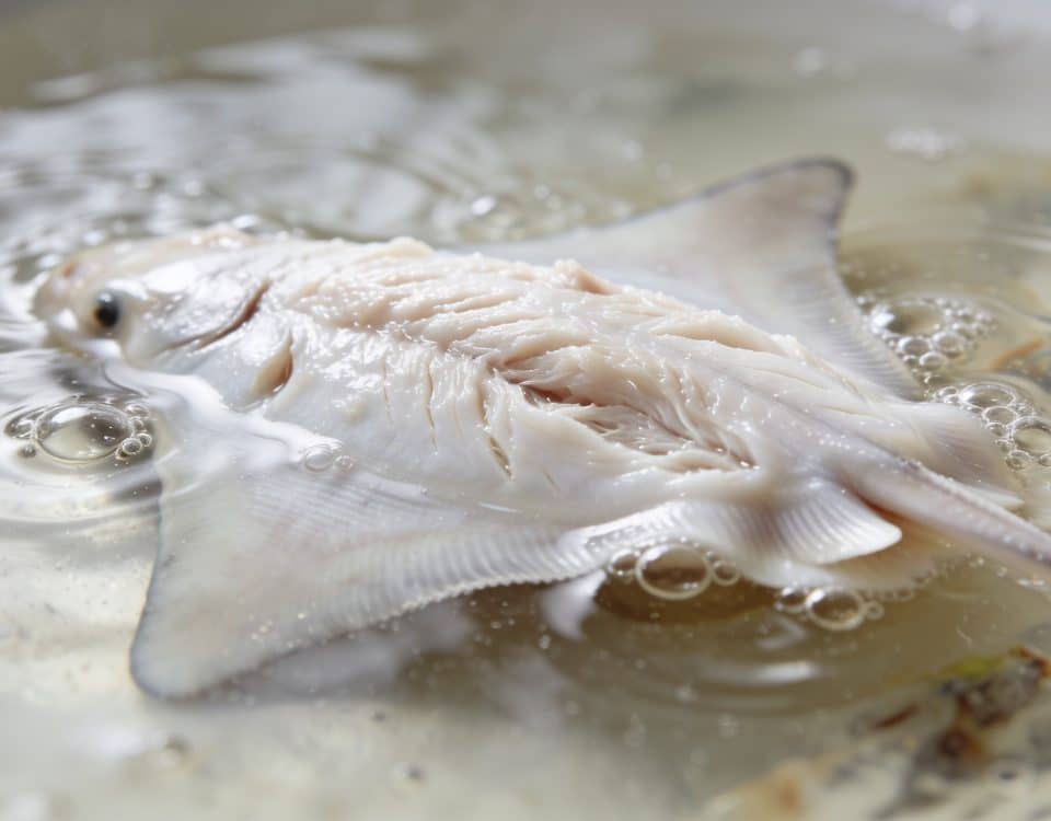 Filet de raie blanc immergé dans bouillon frémissant.
