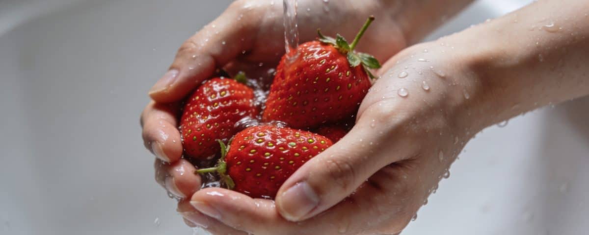 Mains rincant des fraises rouges sous l'eau courante.
