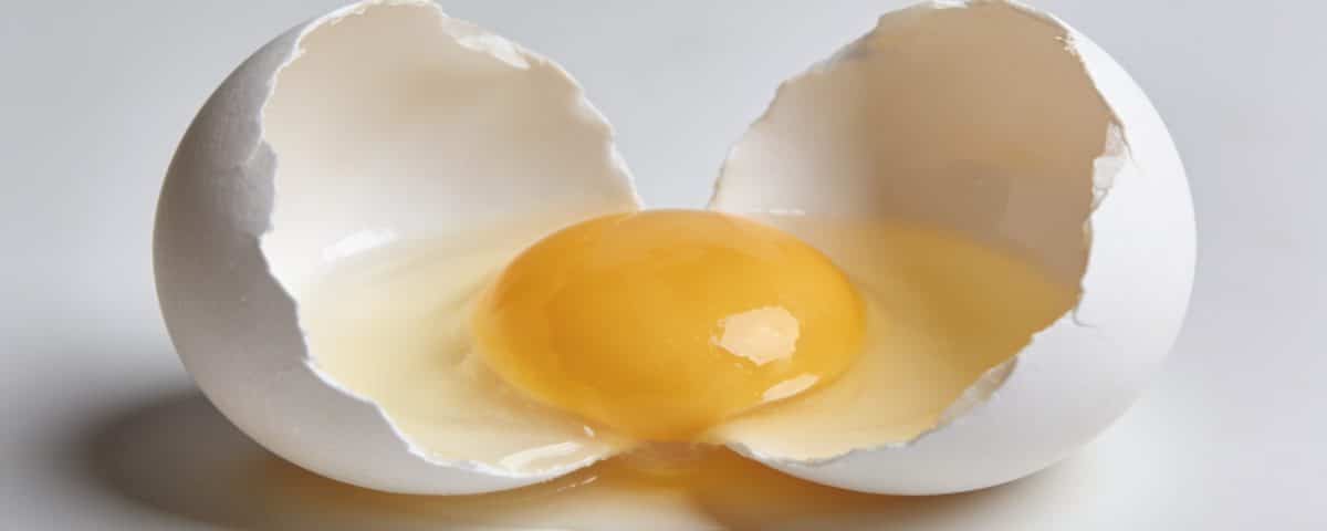 Oeuf blanc casse en deux montrant le jaune intact